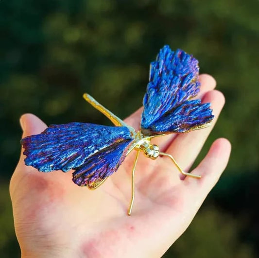 💥TOURMALINE KYANITE DRAGONFLY💥🔥BIG SALE - 40% OFF🔥
