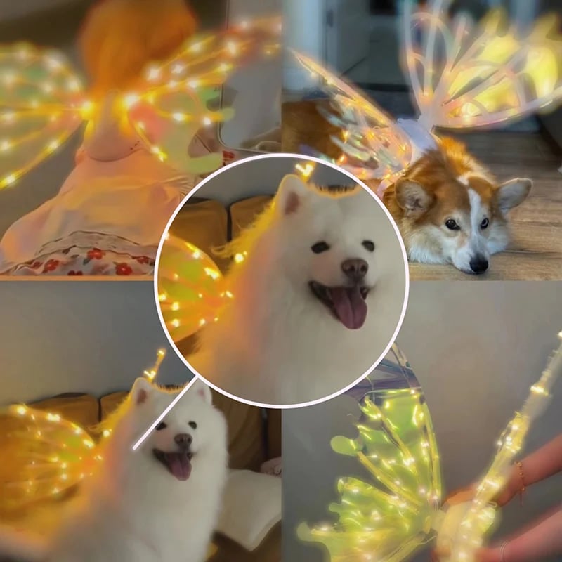 🔥  Electric Butterfly Elf Wings with Glowing Lights