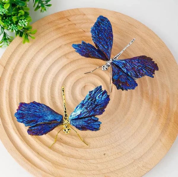 💥TOURMALINE KYANITE DRAGONFLY💥🔥BIG SALE - 40% OFF🔥