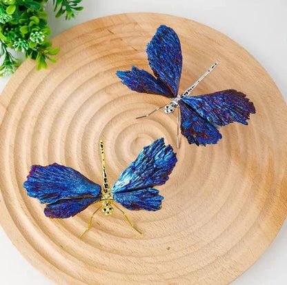 💥TOURMALINE KYANITE DRAGONFLY💥🔥BIG SALE - 40% OFF🔥