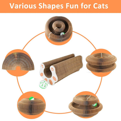 Magic Organ Cat Scratching Board