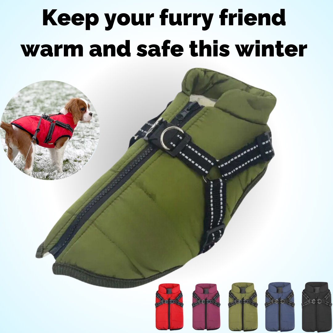 🔥LAST DAY SALE 40% OFF🐕Vet Recommended Dog Jacket