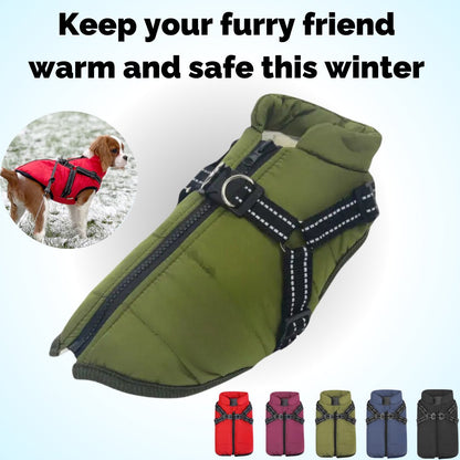 🔥LAST DAY SALE 40% OFF🐕Vet Recommended Dog Jacket