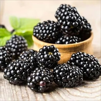 Sweet Blackberry Seeds