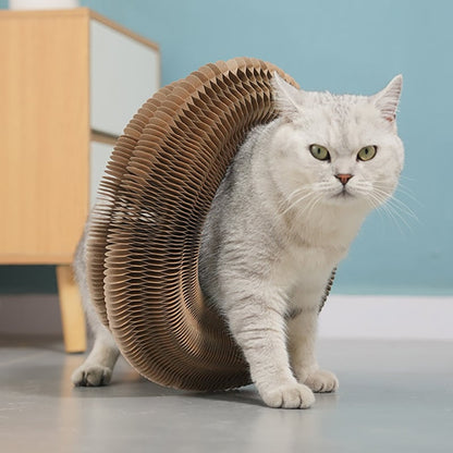 Magic Organ Cat Scratching Board