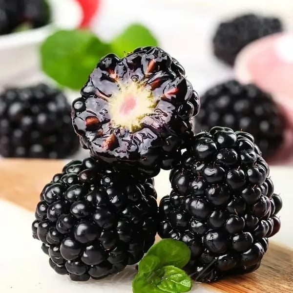 Sweet Blackberry Seeds