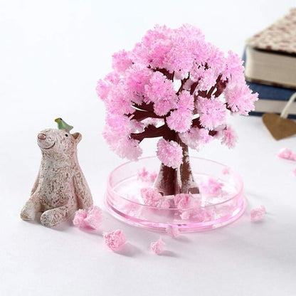 🎄Magic Growing Christmas Tree