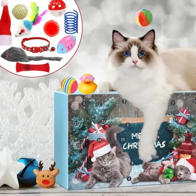 🔥Christmas sale 40% off😺Christmas Ountdown Cat Calendar🎄