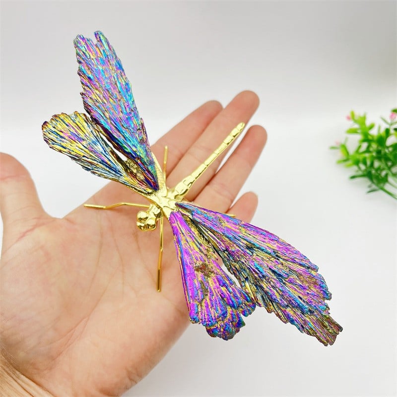 💥TOURMALINE KYANITE DRAGONFLY💥🔥BIG SALE - 40% OFF🔥