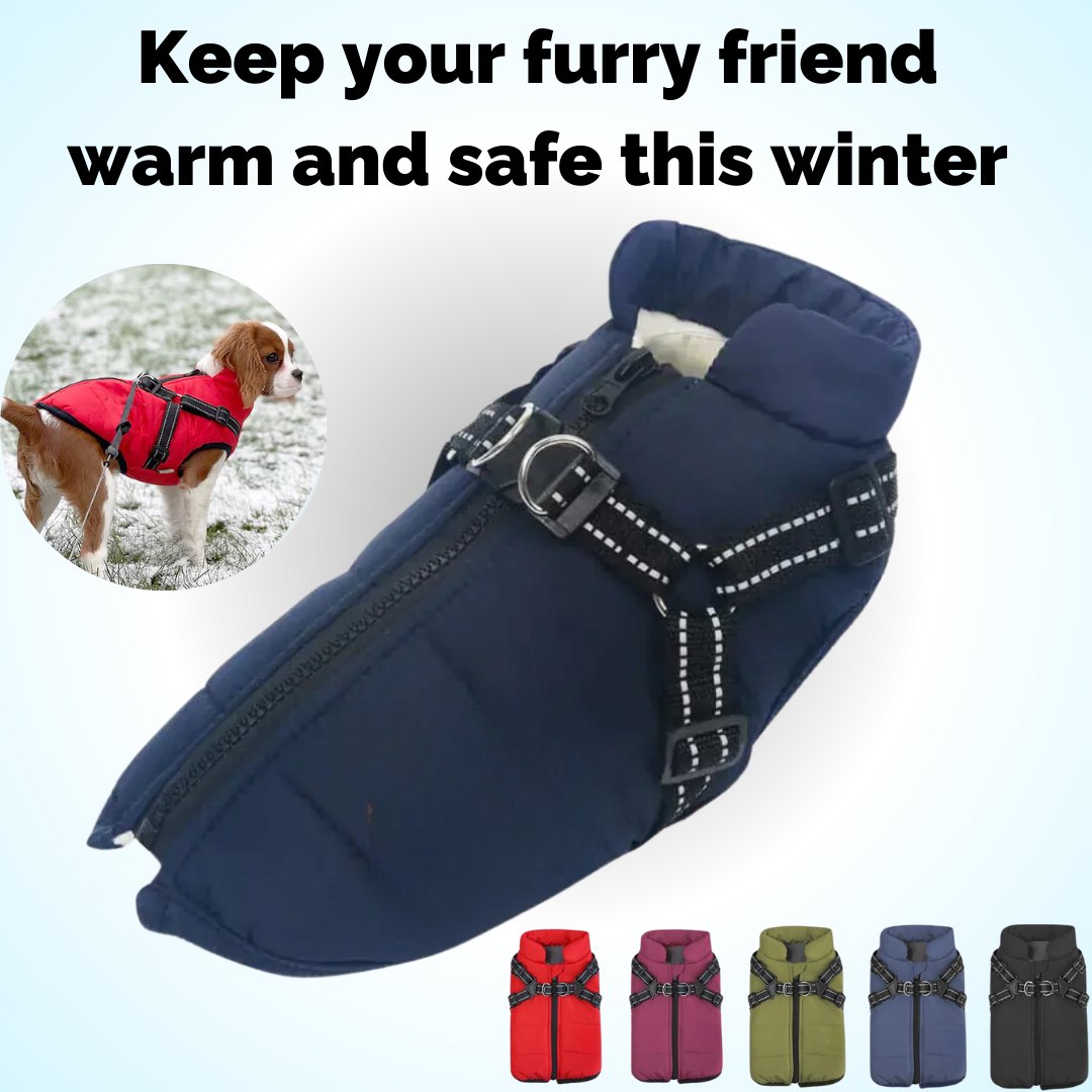 🔥LAST DAY SALE 40% OFF🐕Vet Recommended Dog Jacket