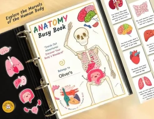 Last Day Sale 40% OFF🔥Human Anatomy Busy Book