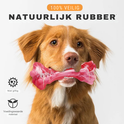 The Playful Dental Care for Dogs - BuddyChew Bowlift